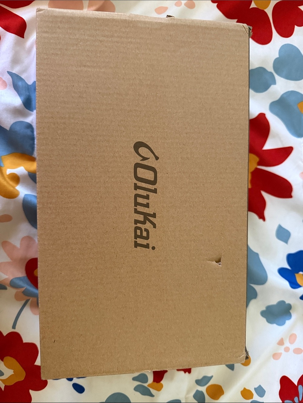 OluKai Brown Cardboard Storage Box